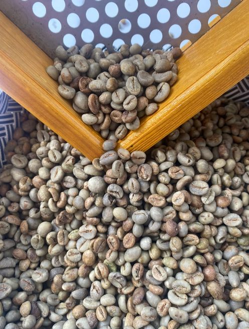 Robusta Pupuan Origin